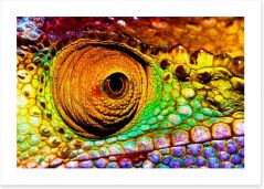 Reptiles / Amphibian Art Print 50502121