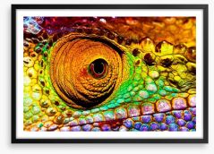 Reptiles / Amphibian Framed Art Print 50502121