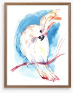 Curious cockatoo Framed Art Print 50583494