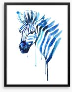 Blue zebra Framed Art Print 50583573