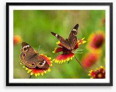 Insects Framed Art Print 50805186
