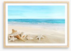 Seashell seascape Framed Art Print 51359291
