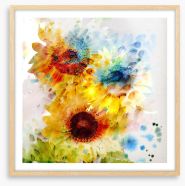 Sunflower days Framed Art Print 51446527