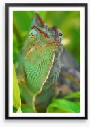 Rainforest chameleon Framed Art Print 51519582