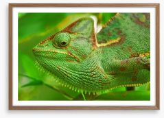 Reptiles / Amphibian Framed Art Print 51519803