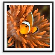 Clownfish camouflage Framed Art Print 51599626