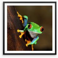 Peeping frog Framed Art Print 51622727