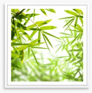 Bamboo leaves Framed Art Print 52060911