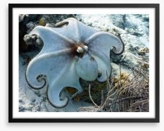 Octopussy Framed Art Print 52265802
