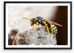 Insects Framed Art Print 52290697