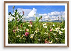 Wildflowers in the Summer meadow Framed Art Print 52685248