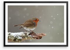 Little robin Framed Art Print 52926639