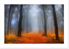 Foggy day in the forest Art Print 52986015