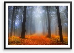 Foggy day in the forest Framed Art Print 52986015