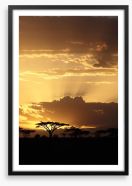 African sunset with Acacia Framed Art Print 53050526