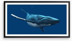 Blue whale swimming Framed Art Print 53060845