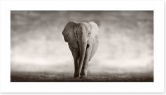 Mighty African elephant Art Print 53182375