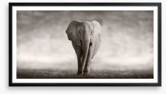 Mighty African elephant Framed Art Print 53182375