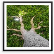 The old tree Framed Art Print 53192430