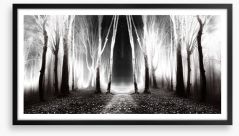 Forests Framed Art Print 53207232