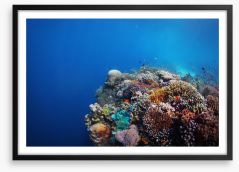 Underwater Framed Art Print 53298804