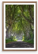 Magical wood tree tunnel Framed Art Print 53315281