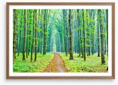 Vibrant spring in the forest Framed Art Print 53625026