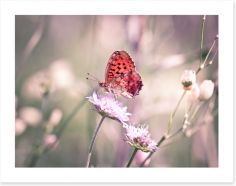 Fluttering on the wildflower Art Print 53633126