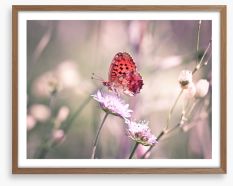 Fluttering on the wildflower Framed Art Print 53633126