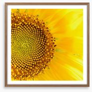 Sunflower love Framed Art Print 53654595