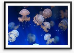 Diving jellyfish Framed Art Print 53724456