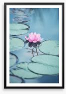 Lonesome lily Framed Art Print 53806184