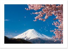 Sakura snow Art Print 54170104