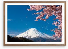 Sakura snow Framed Art Print 54170104