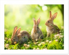 Spring bunnies Art Print 54222679
