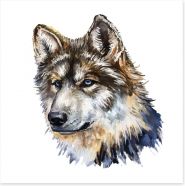 Wild wolf Art Print 54272072