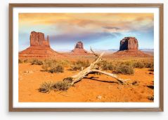 Desert Framed Art Print 54492648