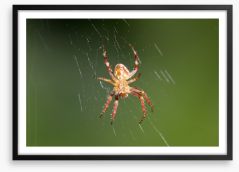 Insects Framed Art Print 54648801