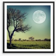 Moon glow Framed Art Print 54798232