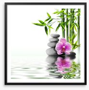 Zen Framed Art Print 54884835