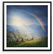 Rainbows Framed Art Print 54917162