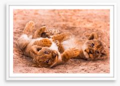 Playful lion cubs Framed Art Print 55023096