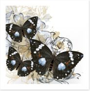 Butterflies Art Print 55115405