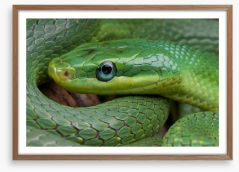 Emerald snake Framed Art Print 55140376