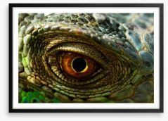 Reptiles / Amphibian Framed Art Print 55175061