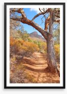 Path to the Flinders Ranges Framed Art Print 55211172