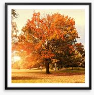 Autumn trees Framed Art Print 55337109