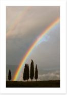 Rainbows Art Print 55469704