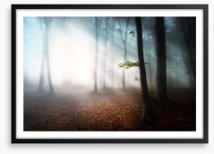 Fog in the forest Framed Art Print 55675112