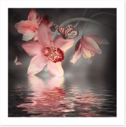Orchid and butterfly reflections Art Print 55749422